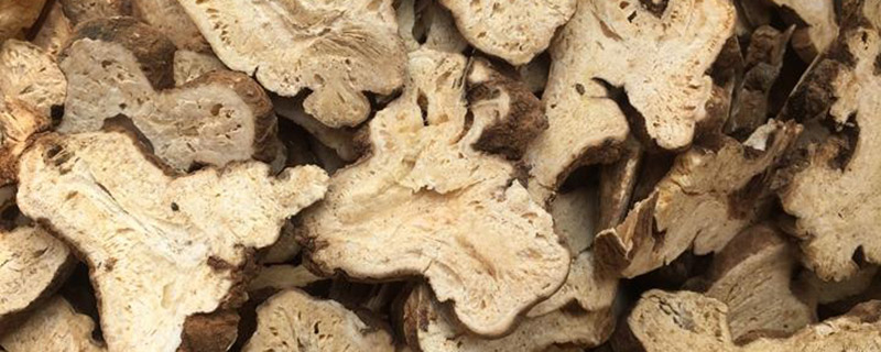 �����Ĺ�Ч������ ����ͼƬ